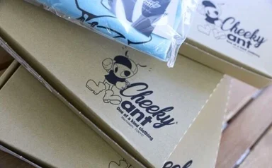 紙用インクでスクリーンプリントされたダンボールのパッケージ